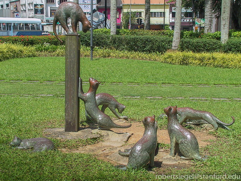 cats in kuching